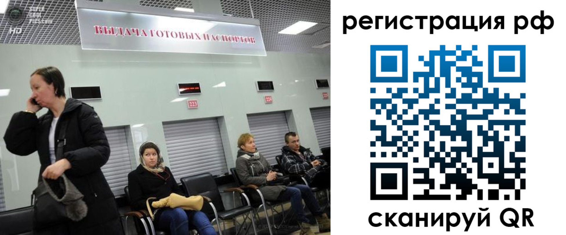 прописка для школы в Киришах